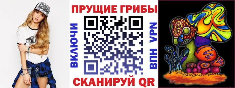 Галлюциногенные грибы MAGIC MUSHROOMS  ОМГ ОМГ маркетплейс  Апатиты  где продают наркотики 